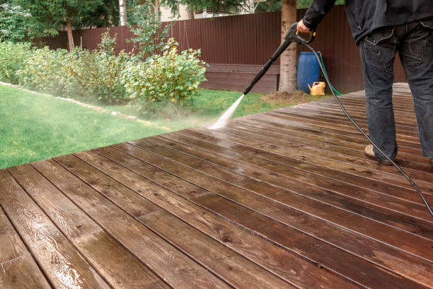 Best Dumpster Area Cleaning  in Lido Beach, NY
